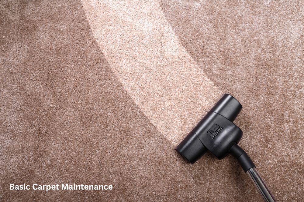 Carpet cleaning | Reinhold Flooring