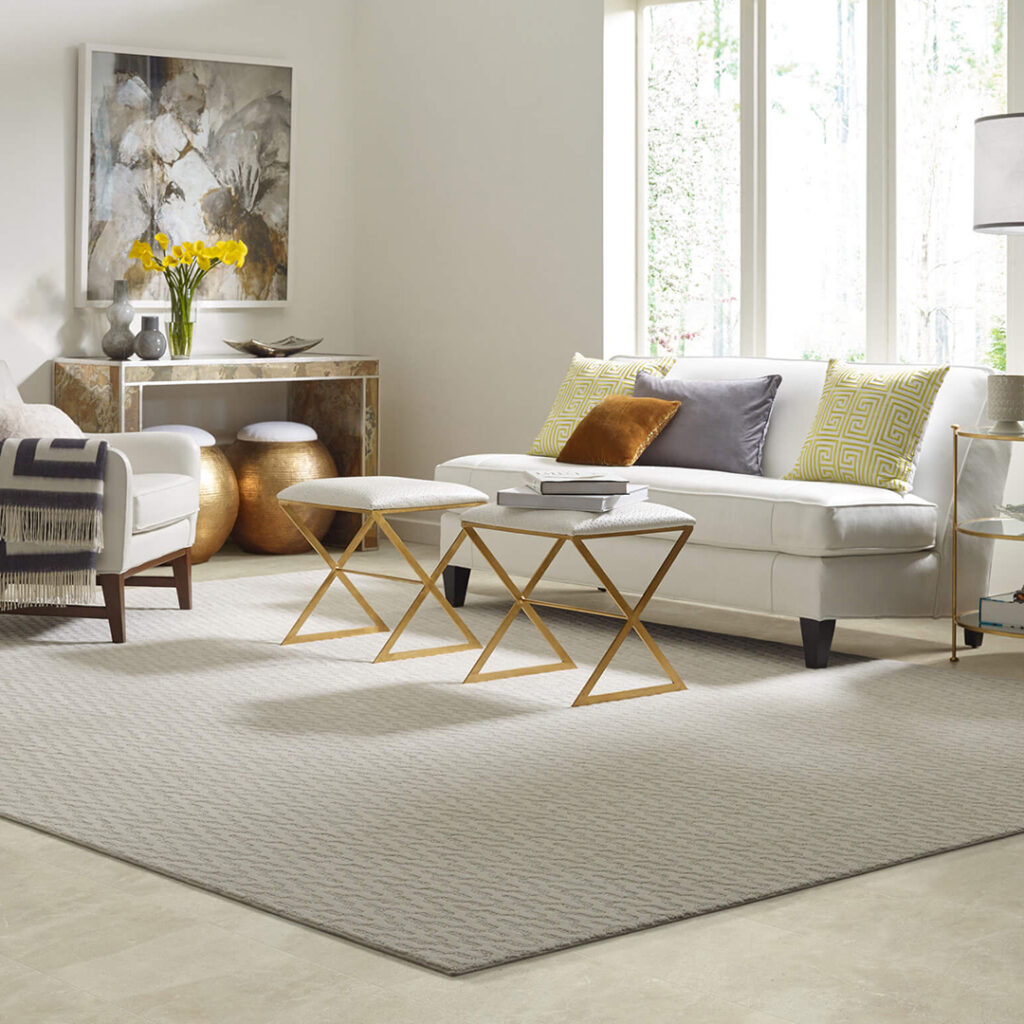 Living Room Area Rug | Reinhold Flooring