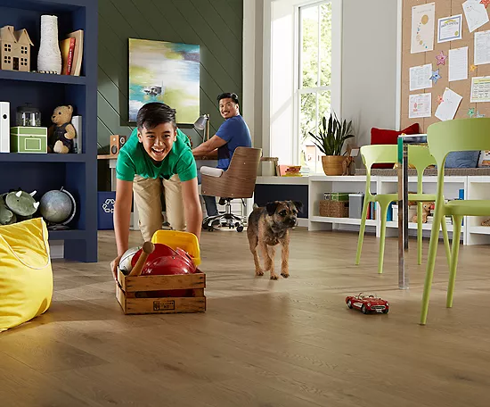 Safeguarding Floors from Pets | Reinhold Flooring