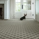 Dog sat on soft carpet | Reinhold Flooring