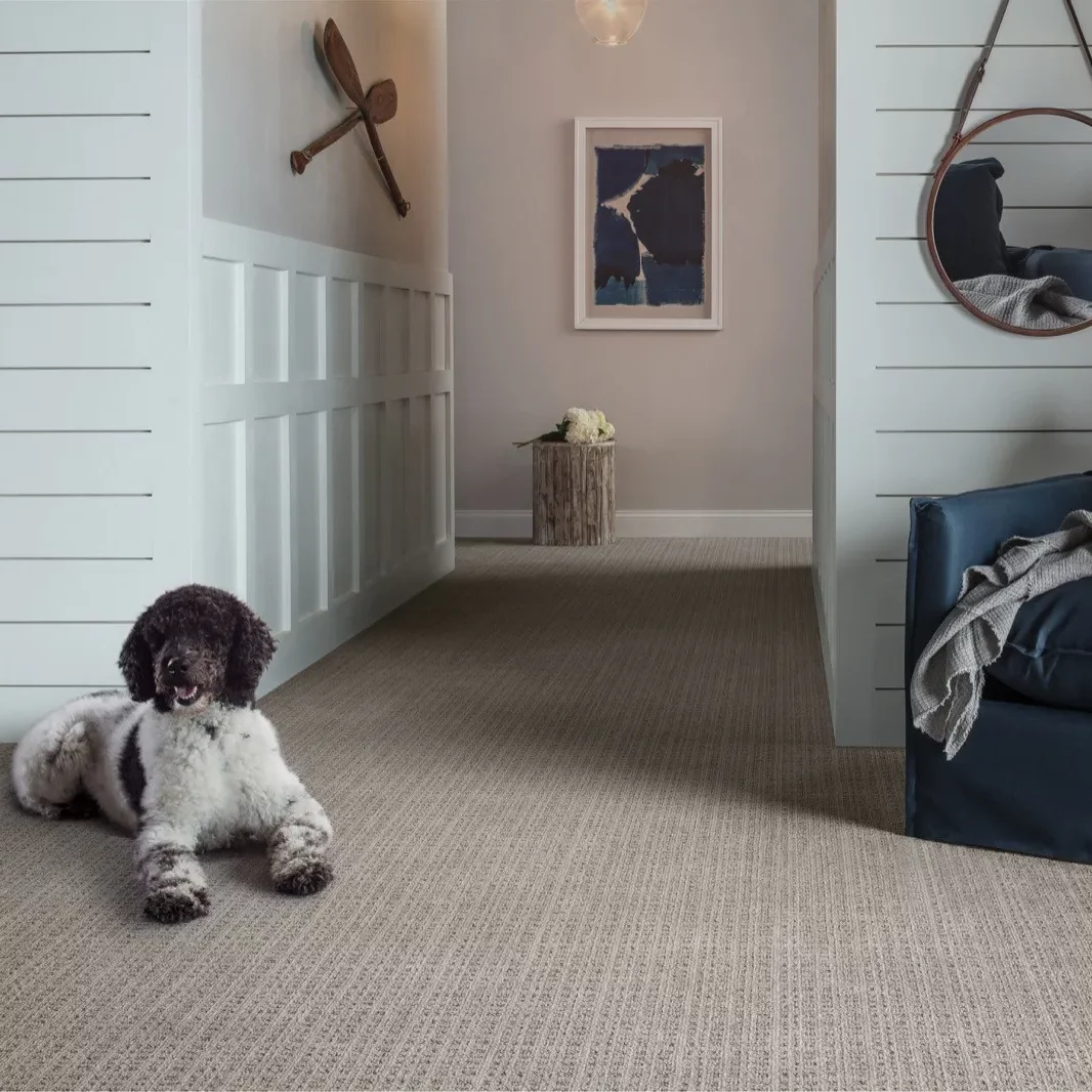 Pet friendly carpet flooring | Reinhold Flooring